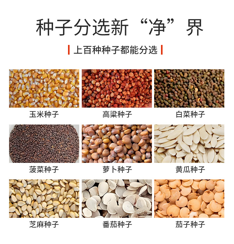 新详情种子_07.jpg